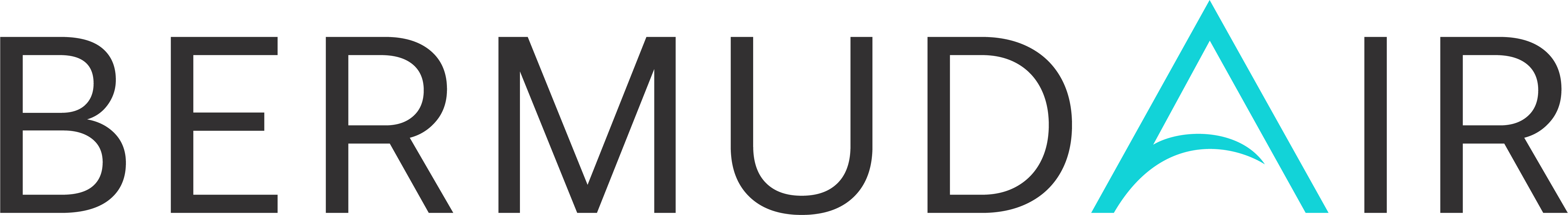 Logo of Bermudair