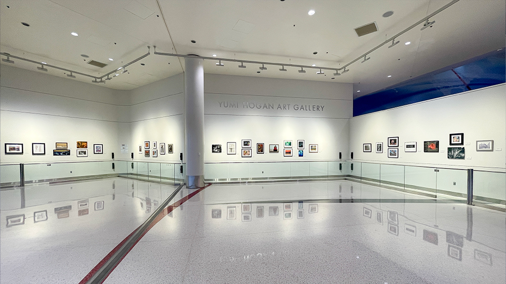 Yumi Hogan Art Gallery